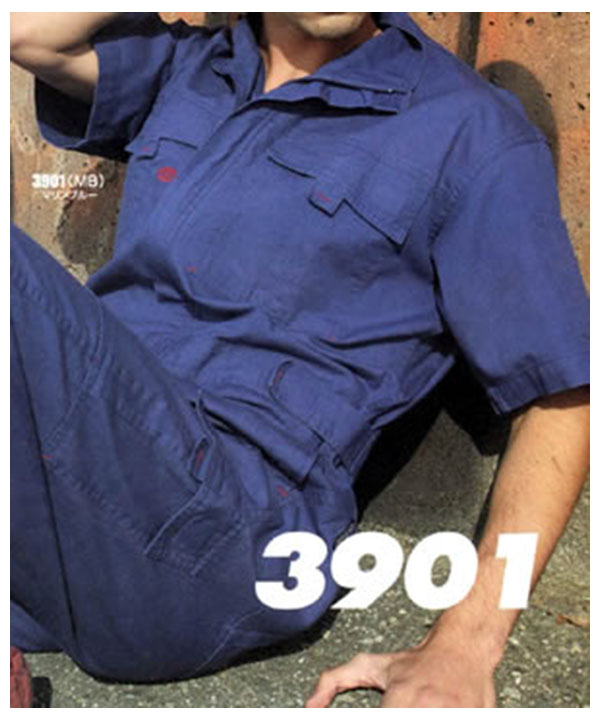 Ⱦµ�ĥʥ���au3901