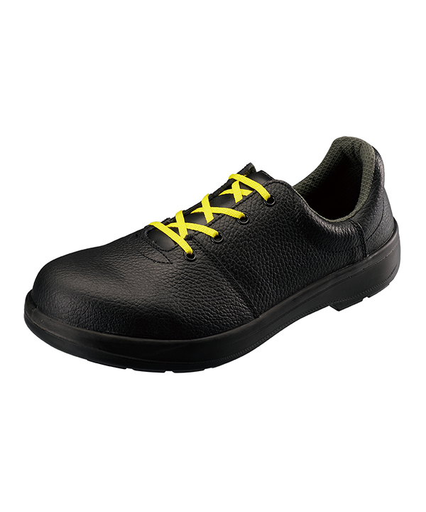 siaw12seiden�ξܺ١�����ʸ�Ϥ�����