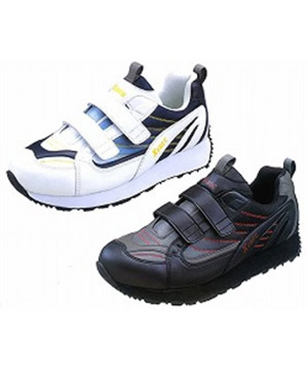 ���եƥ����塼���ʥޥ��å���xe85300