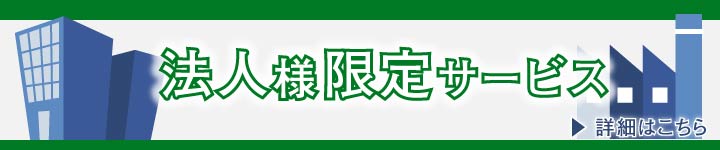 ˡ͸ꥵӥ